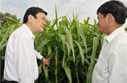 Chủ tịch nước Trương Tấn Sang thăm và chúc Tết tại huyện Củ Chi
